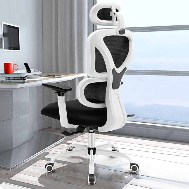 IsairisErgonomicOfficeChairwithAdjustableHeadrestandArmrests-1.jpg